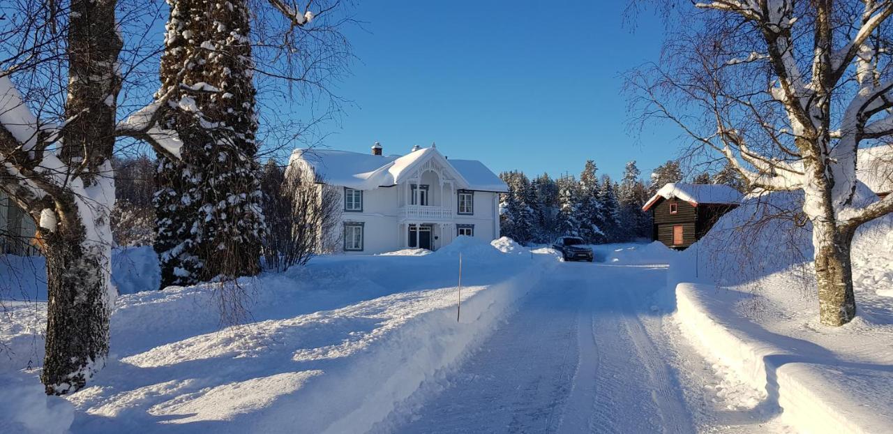 Апартаменти Drolsum Gard Vikersund Екстер'єр фото